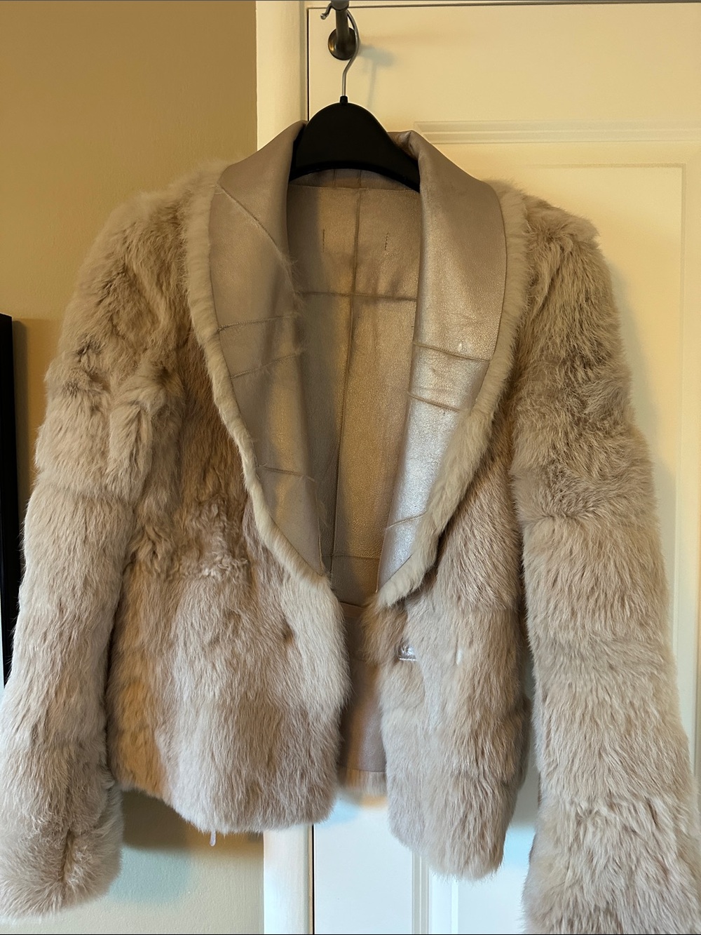 Vintage Plush Taupe leather Jacket with Shawl Collar - Picture 4 of 5